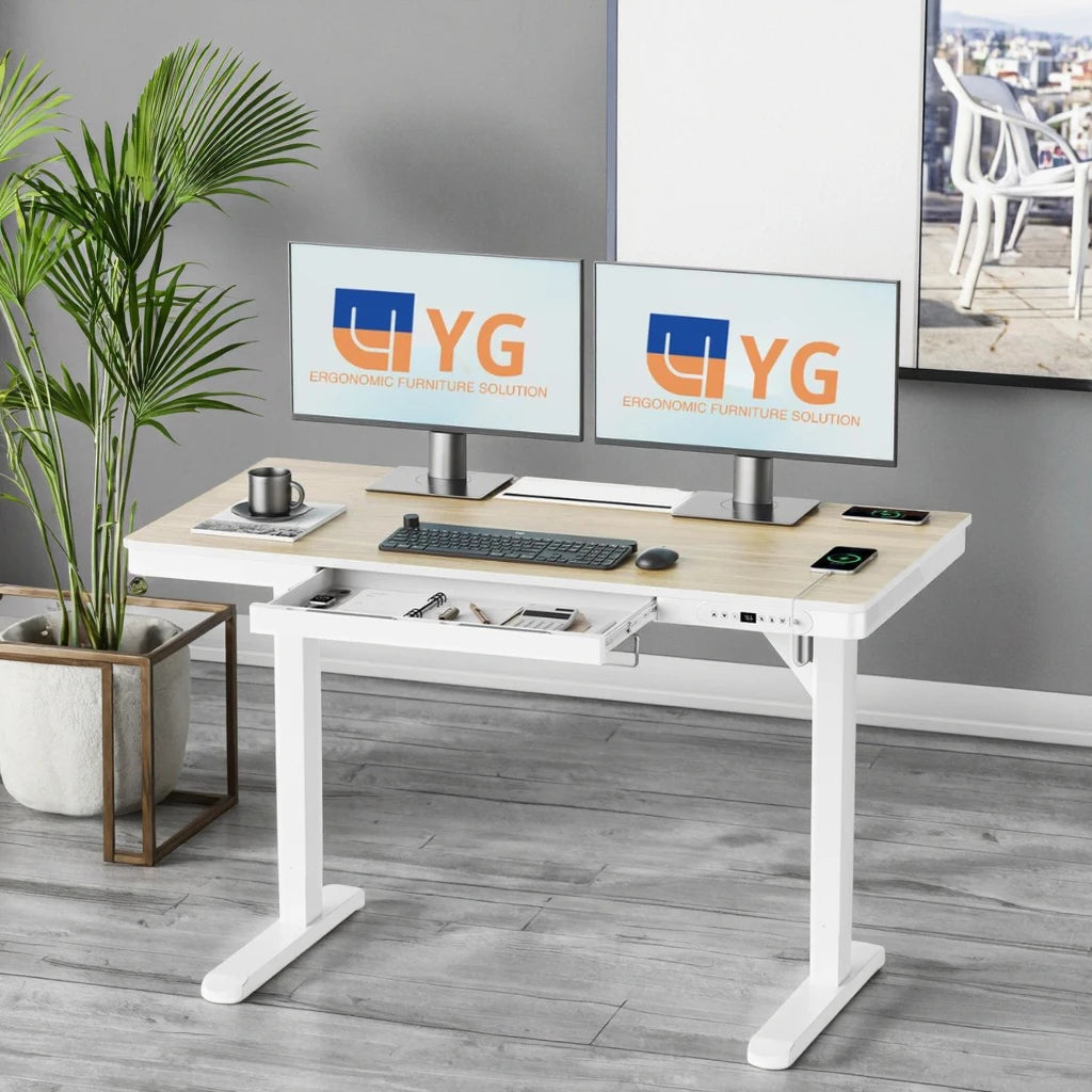 Dropshipping Height Adjustable Desk Standing Desk with Drawer,Wireless Charging & Cable Management Tray