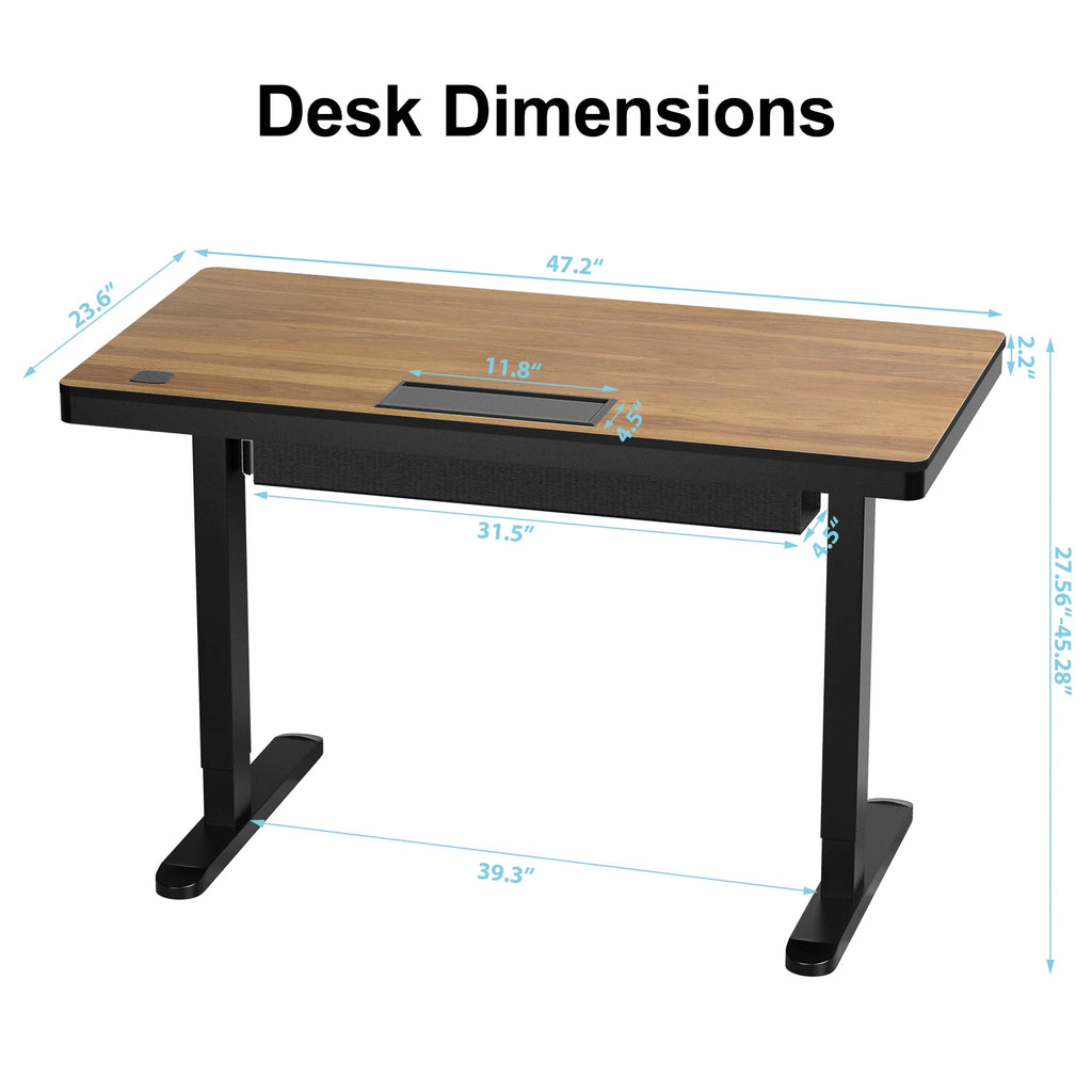 Dropshipping Height Adjustable Desk Standing Desk with Drawer,Wireless Charging & Cable Management Tray