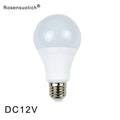 E27 LED Bulb Lights DC 12V smd 2835chip lampada luz E27 lamp 3W 6W 9W 12W 15W 18W spot bulb Led Light Bulbs for Outdoor Lighting