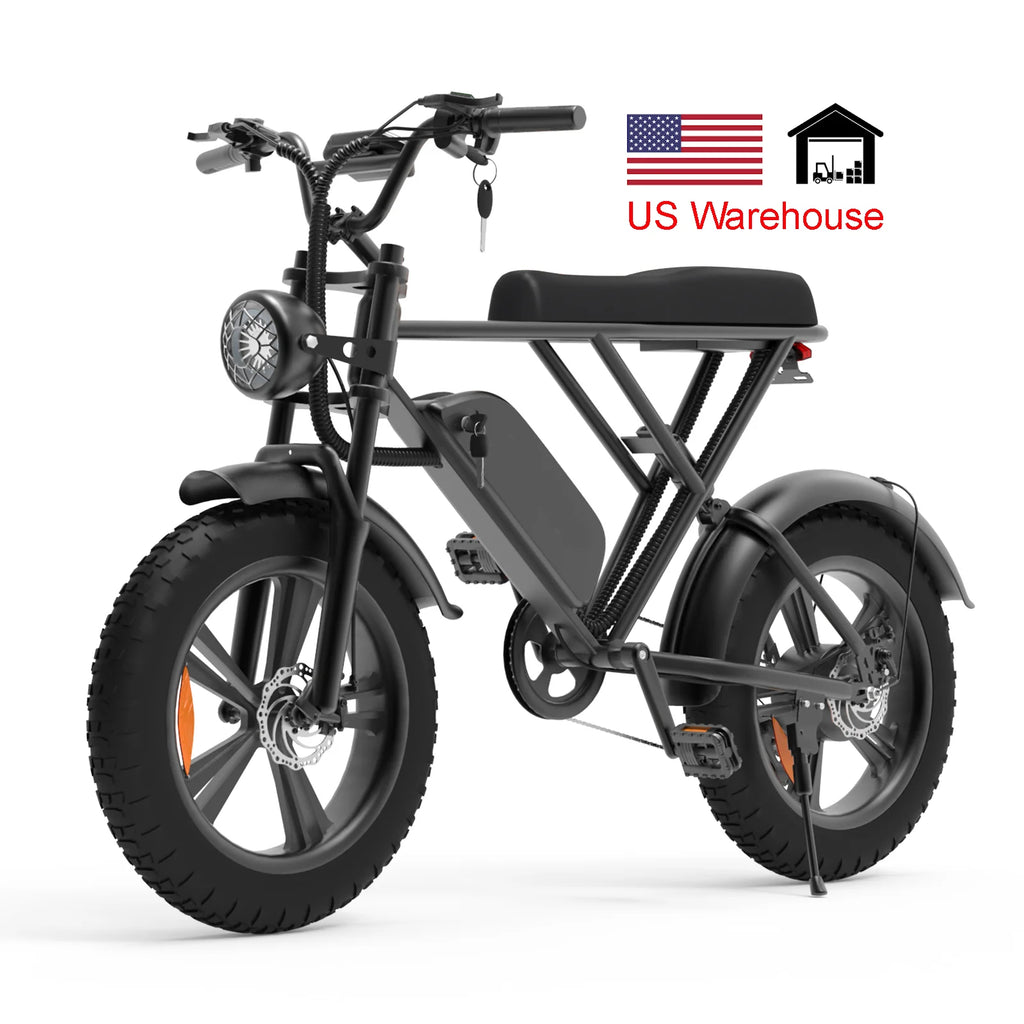 Free Shipping US Warehouse Ready Stock Electric Bike 1000W 48V 20Ah 20*4Inch Fat Tire Mountain Road US Popular E-bike Long Range