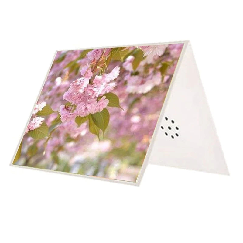 Talking Product, Writeable Greeting Card, 30 Seconds Recording Record, Voice Message or Music for Birthday Anniversary