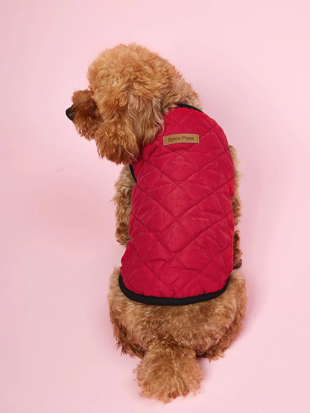 Dog Winter Coat, Warm Dog Coat Dog Down Jacket, Turtleneck Waterproof Dog Clothes for Cold Weather Dog Snowsuit Christmas Dog Ve