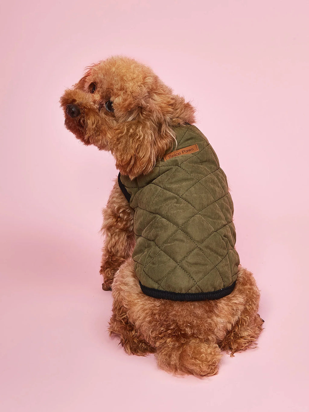 Dog Winter Coat, Warm Dog Coat Dog Down Jacket, Turtleneck Waterproof Dog Clothes for Cold Weather Dog Snowsuit Christmas Dog Ve