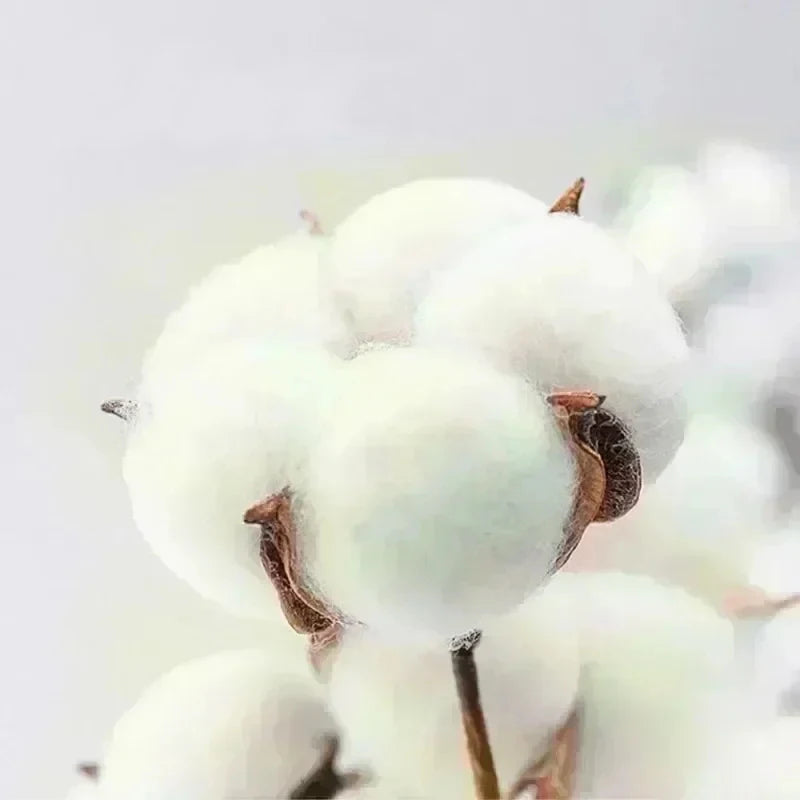 Women'S Christmas T-Shirt - Red Holiday Party Top with We Are Family Text Y2k Ladies Clothes Oversized T-shirt Woman Clothing