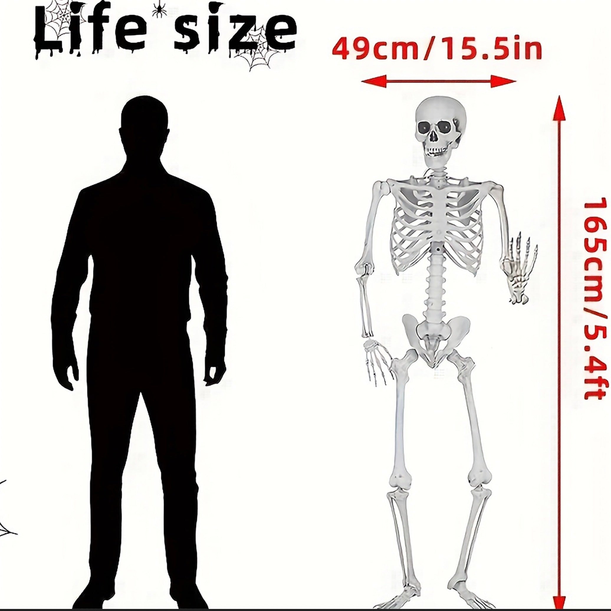 1pc Life-Size Creepy Fake Skeleton Sculpture - Realistic Halloween Decoration for Home, Garden, Haunted House, Party, and Spooky Season - Weather-Resistant, Durable, and Easy to Assemble